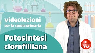 Videolezioni la Fotosintesi clorofilliana  Renato lo scienziato Renatoloscienziato [upl. by Esiled]