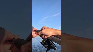 What kind of fish was this saltwater sandiego fishing [upl. by Morly43]