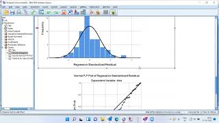 SPSS How to test for Homoscedasticity in data [upl. by Eireva]