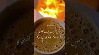 Ganay  Ganeey  Aaj Ki Chaye  Ganey  Chai Song  Chai Song Status  Dekhte Chai  Chai Per Shayar [upl. by Eniahs]