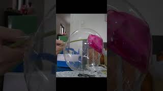 How to Insert a Flower in a Balloon balloondecor balloonflowerbouquet CraftingMagic [upl. by Nettie669]