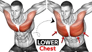 9 Best Exercises Lower Chest Workout to Get Bigger Chests [upl. by Vin]