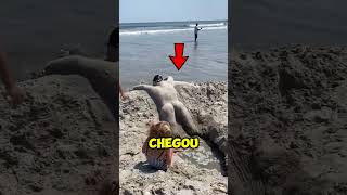 As pessoas na praia não acreditaram no que viram 😮 [upl. by Yeliab]