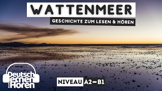 334 Geschichte zum Lesen amp Hören  Thema Wattenmeer  Deutsch lernen durch Hören  A2  B1 [upl. by Aurea]