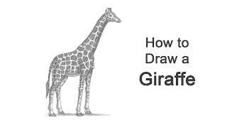 How to Draw a Giraffe [upl. by Doownel]