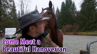 Hanoverian Painting Tutorial [upl. by Tartaglia]