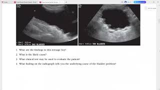 PAEDIATRIC CASE REVIEW SERIES [upl. by Leitnahs955]