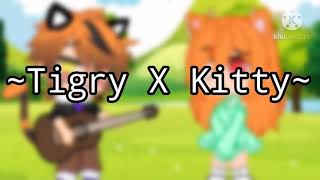 EnamoradoMeme¿Tigry X Kitty [upl. by Yelsel]