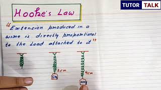 Hookss Law  Class 11 Physics [upl. by Twila]