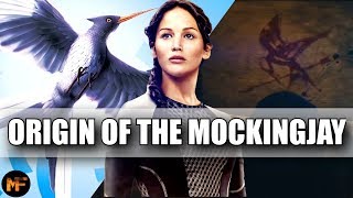 Origin of the Mockingjay amp its Deeper Meaning in the Series Hunger Games Explained [upl. by Towill]