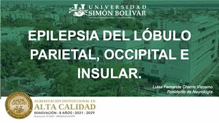 Epilepsia del lobulo parietal occipital e insular [upl. by Bill]