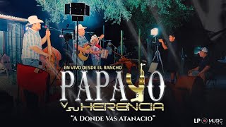 Papayo Y Su Herencia  A Donde Vas Atanacio En Vivo [upl. by Nylrehc]