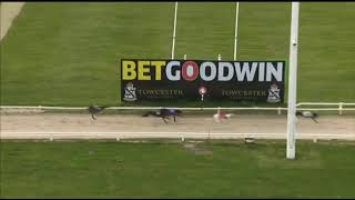 BUBBLY BREEZER Gets His First Win In The TOWCESTER MAIDEN DIV 1 Race In Trap 3 At Towcester [upl. by Onahpets]