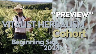 202425 Vitalist Herbalism Cohort Preview [upl. by Ahcirt958]