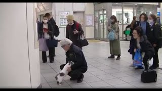 忠犬いや、猫 大好きな主人，駅でおむかえ＊ [upl. by Gosney]