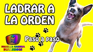 ENSEÑAR el LADRIDO A LA ORDEN  Adiestramiento para perros [upl. by Gamaliel]