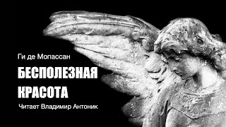 «Бесполезная красота» Ги де Мопассан Аудиокнига Читает Владимир Антоник [upl. by Andres]