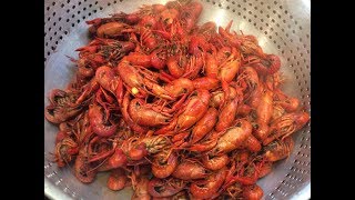 Boil Crawfish On A Budget Cooked in Kitchen Cajun Style [upl. by Ulphia]