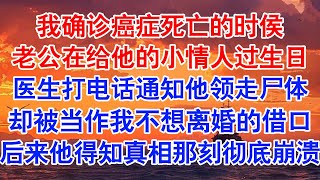 我癌症死亡的那天老公在给他的小情人过生日医生打电话通知他领走我的尸体，却被当作是我不想离婚的借口。要死就死还省了我和你离婚小说 故事 爱情故事 情感 情感故事 亲情故事 为人处世 婚姻 [upl. by Dev]