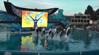 Final Performance of One Ocean  SeaWorld San Diego  HD [upl. by Nylednarb80]