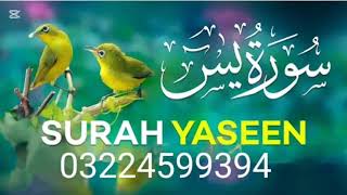 Quran​ surahyaseen​ yasin​Sūrah YāSīn also Yaseen Ara سورة يس‎ is the chapter of the Quran [upl. by Emixam]