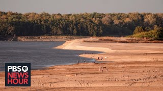 Droughts impact on Mississippi River causes disruptions in shipping and agriculture [upl. by Ailsun]