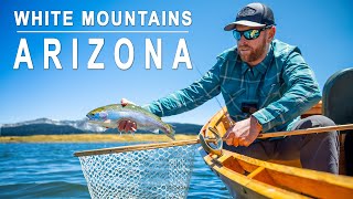 Fly Fishing the White Mountains of Arizona  The Ultimate Hidden Gem  Episode 1 [upl. by Wehtta]