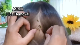 ASMR Scalp Check and lice Removal  No Talking 😴💤🥱 [upl. by Niwled]