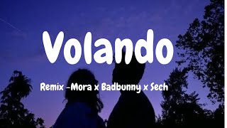 Volandoremixmora x Badbunny x sech Audio [upl. by Amity]