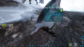 ARK Survival evolved Hesperornis golden eggs How to get them full explenation [upl. by Erdnaid310]