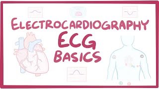 Electrocardiography ECGEKG  basics [upl. by Nnaul]