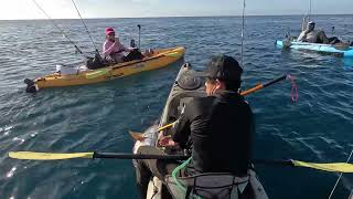 kayak fishing los cabos [upl. by Victoir]