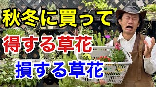 【11月12月限定】買って得する損する草花ベスト5 ワースト5 【カーメン君】【園芸】【ガーデニング】【初心者】 [upl. by Alyakim]