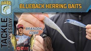 Cobbs GOTO baits for Blueback Herring lakes ALL SEASONS [upl. by Acisey]