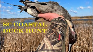 South Carolina Coastal Duck Hunt [upl. by Lacey]