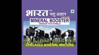 Mineral Mixture  Cow Feed  Buffalo Feed  Goat Feed [upl. by Cudlip]