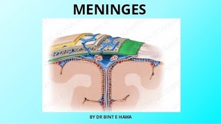 Meninges  Folds of Dura mater  Neurovascular supply  Neuroanatomy [upl. by Irene139]