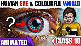 Human Eye And Colourful World class10🔥  Animated  Defects of Vision amp Correction  Ncert Chapter11 [upl. by Sheets171]