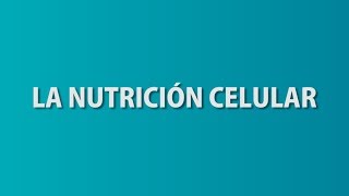 NUTRICIÓN CELULAR en 1 minuto [upl. by Wengert]