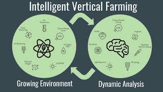 TEDxUVA  Alexander Olesen  Vertical Farming The Inflection Point [upl. by Danice]