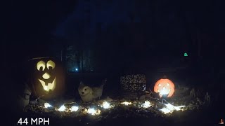 Halloween Nighttime Critter Stream From My Bedroom Window [upl. by Magnien116]