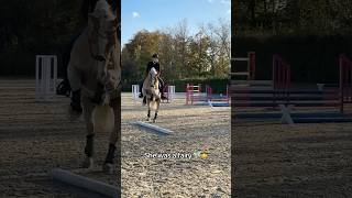 FAIL 🧚🏻🌟 pferd equestrian [upl. by Coniah]