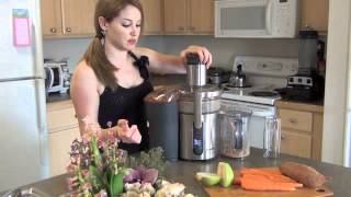 Juicer Review on the Breville Variable Speed Juicer [upl. by Annaeed]