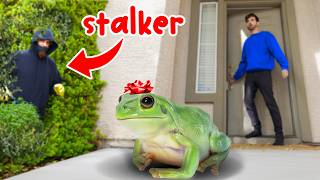 MY STALKER Sent Me A FROG CAUGHT ON CAMERA [upl. by Essam474]