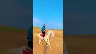 Epic Horse Riding Experience  Horse Riding for Fun and Freedom [upl. by Reffinnej993]