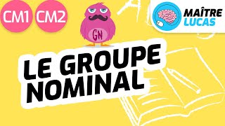 Le groupe nominal CM1  CM2  Cycle 3  Français  Grammaire [upl. by Ailecra]