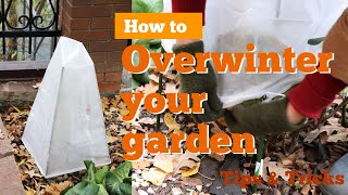 How to overwinter your garden  Winter Veggie Starting [upl. by Vezza]