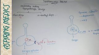 Centrally acting sympatholytic agents Vascular pharmacology [upl. by Antipas733]