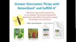 BotaniGard  Superior Biologicallybased Insect Control [upl. by Llamaj]