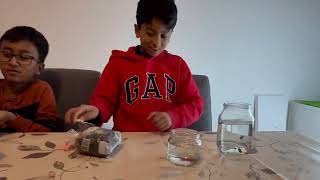 Can raisins dance 🕺 😎 Fun learning science experiment 🧫 at home 🏠 kidsscienceexperiment [upl. by Sucrad]